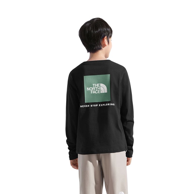 Детская футболка THE NORTH FACE, черный
Детская футболка THE NORTH FACE, черный