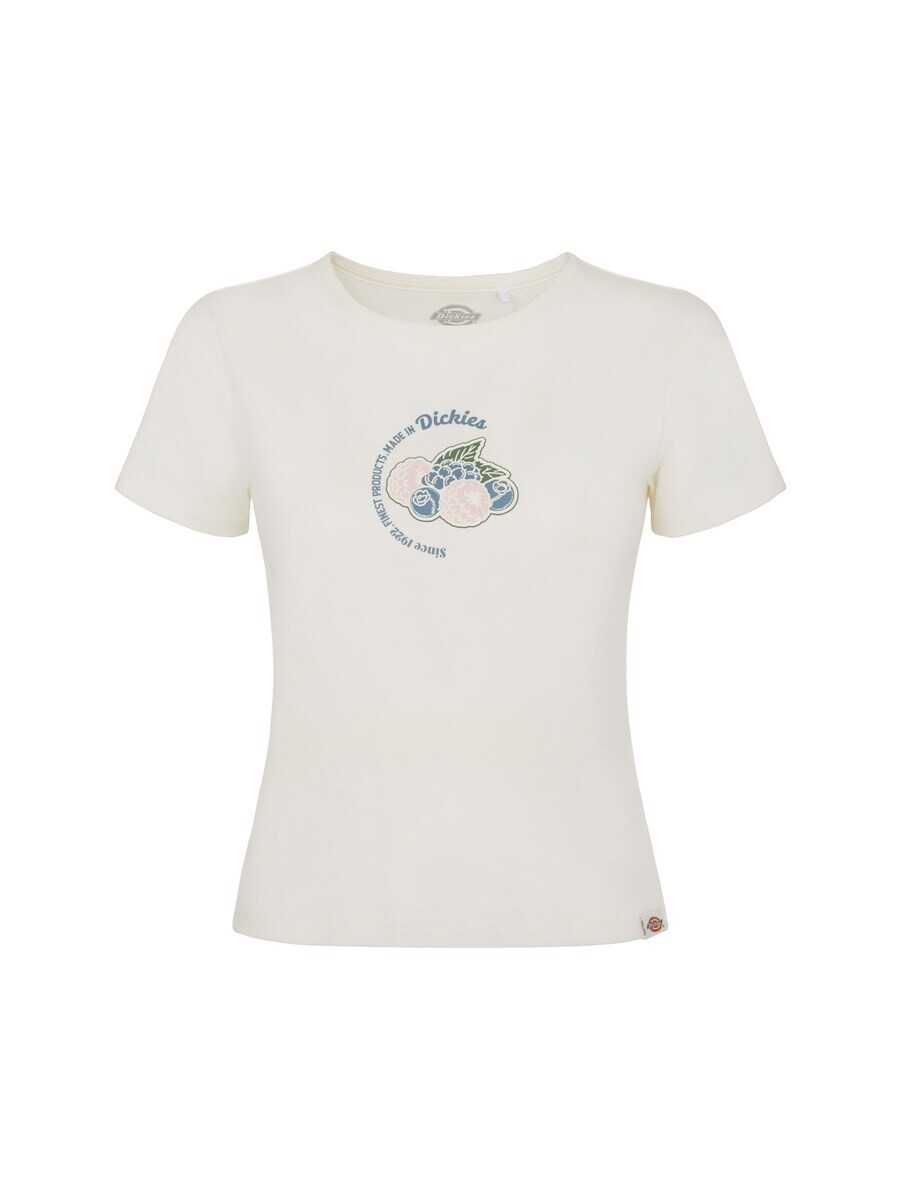 Футболка DICKIES Shirt ALTOONA, белый
Футболка DICKIES Shirt ALTOONA, белый