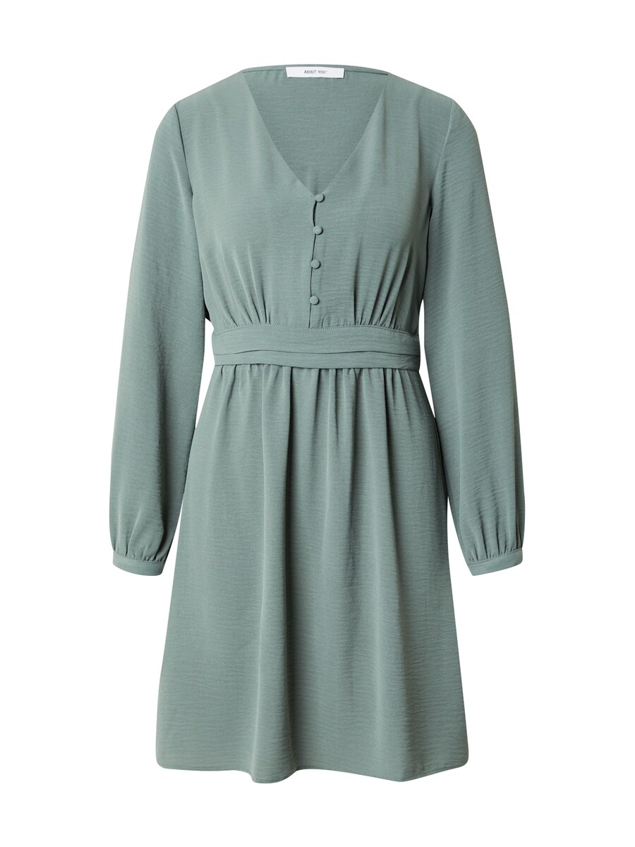 Платье ABOUT YOU Talea, темно-зеленый
Платье ABOUT YOU Talea, темно-зеленый