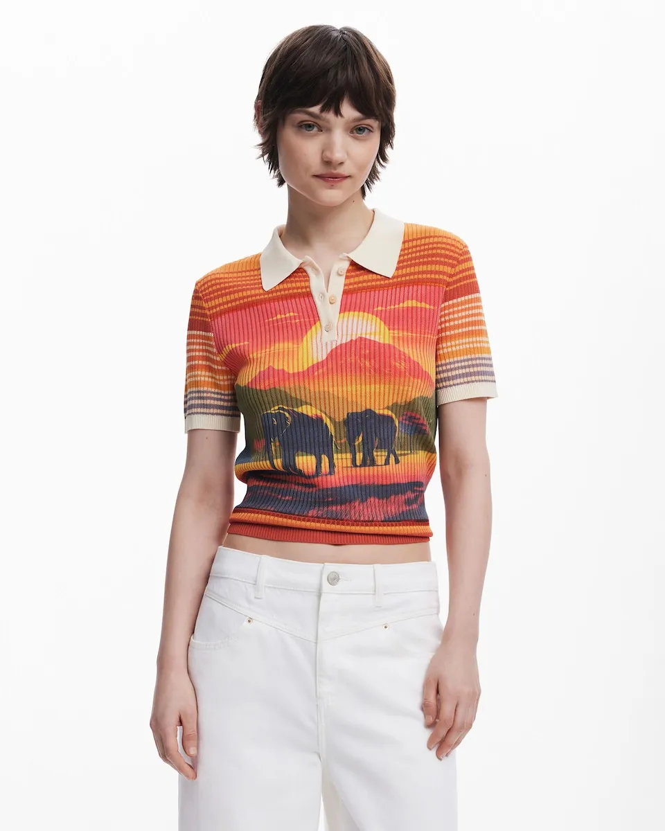 Женская трикотажная футболка с принтом слона Desigual, оранжевый
Женская трикотажная футболка с принтом слона Desigual, оранжевый