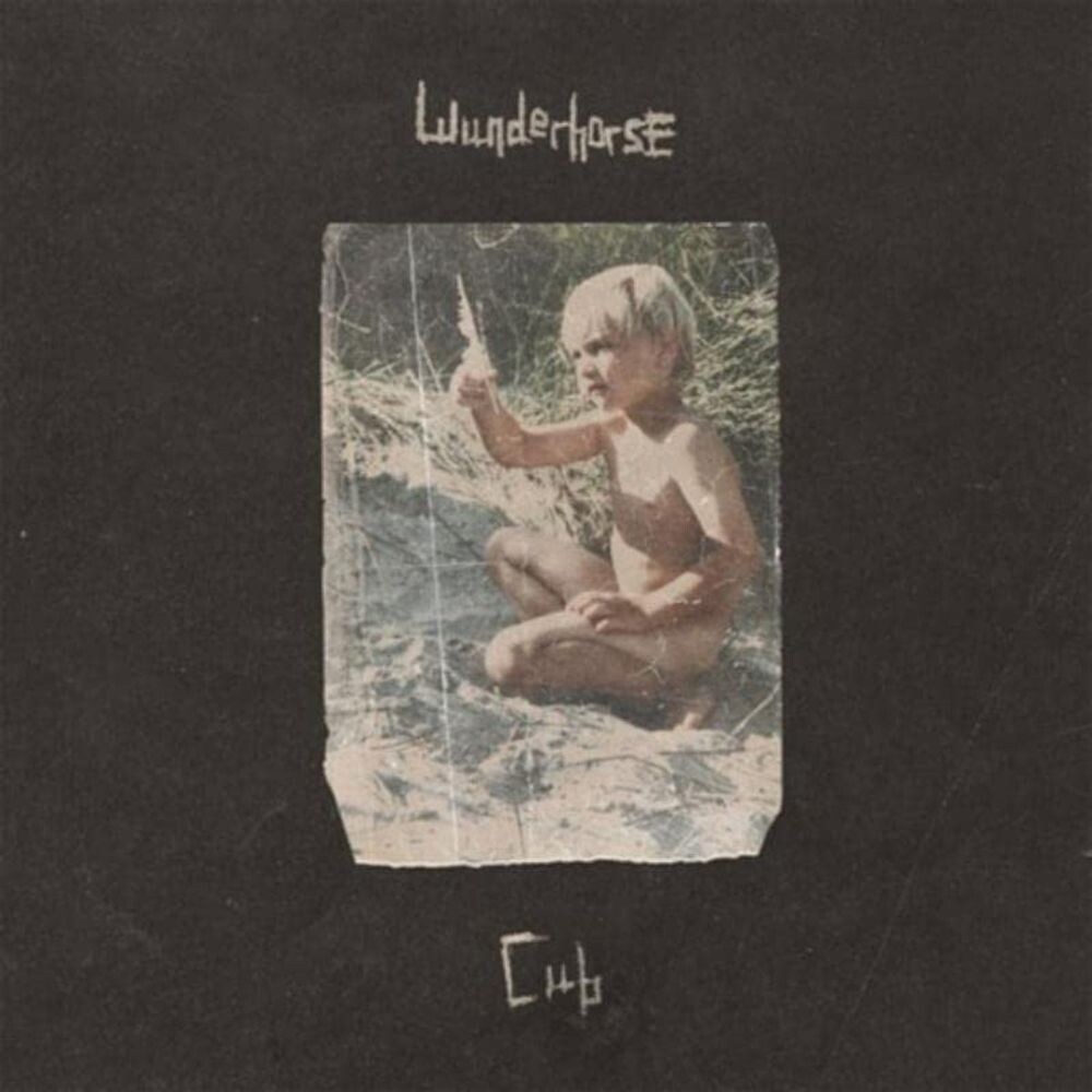 Виниловая пластинка LP Cub - Wunderhorse 
Виниловая пластинка LP Cub - Wunderhorse