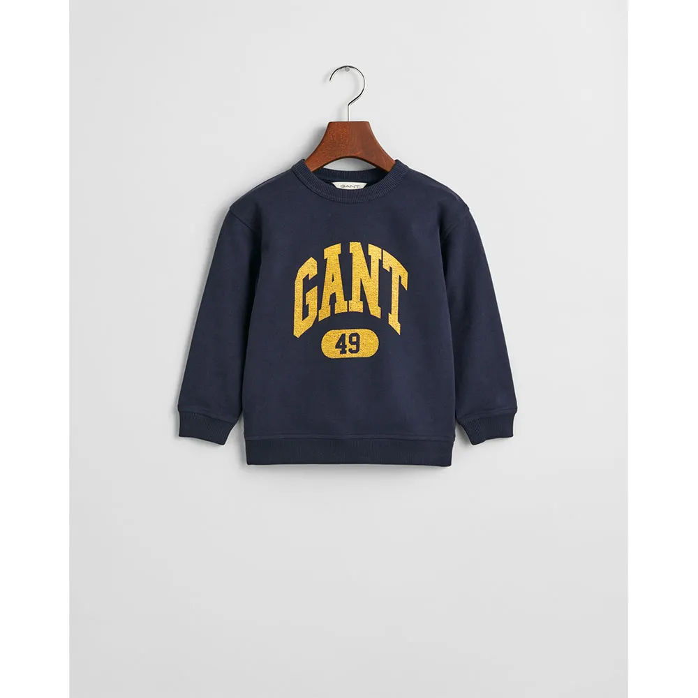 Толстовка Gant 49 Archive Print 806801, синий
Толстовка Gant 49 Archive Print 806801, синий