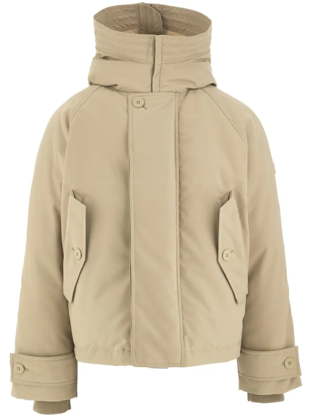 Пуховик с капюшоном Ferragamo, нейтральный
Пуховик с капюшоном Ferragamo, нейтральный