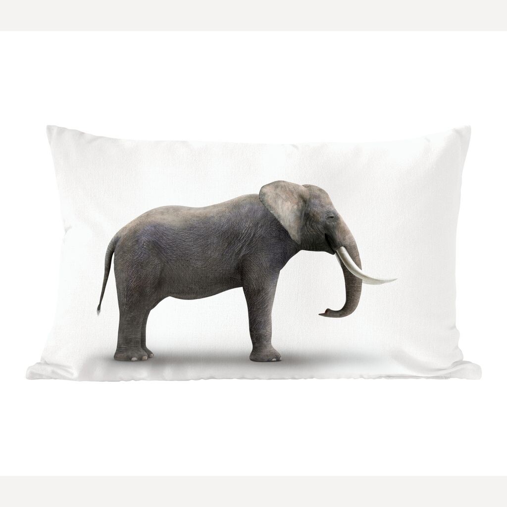 MuchoWow Elephant - слон на белом фоне - 50x30 см - чехлы на диванные подушки - без наполнителя
MuchoWow Elephant - слон на белом фоне - 50x30 см - чехлы на диванные подушки - без наполнителя