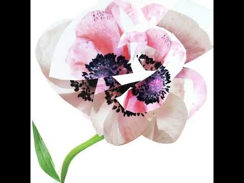 Туалетная вода для женщин Estuche Narciso For Her Narciso Rodriguez, 1 UD
Туалетная вода для женщин Estuche Narciso For Her Narciso Rodriguez, 1 UD