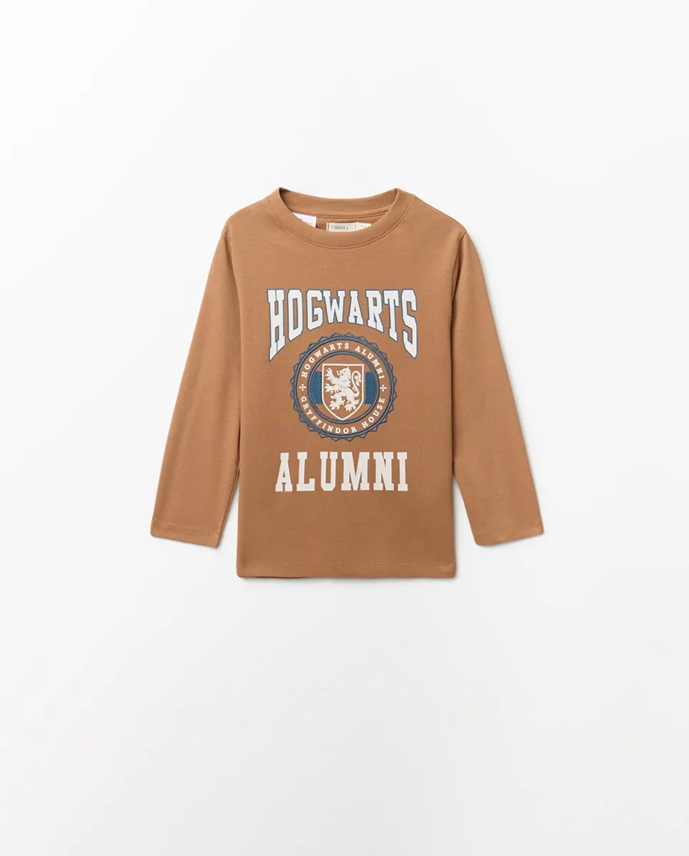 Футболка с лицензией Хогвартс Sfera, светло-коричневый
Футболка с лицензией Хогвартс Sfera, светло-коричневый