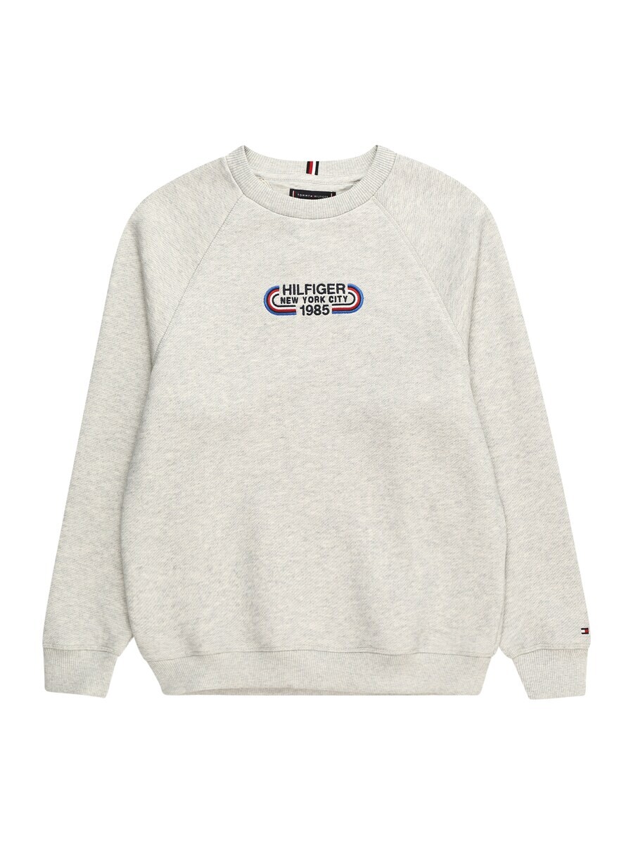 Худи TOMMY HILFIGER Sweatshirt, светло-серый
Худи TOMMY HILFIGER Sweatshirt, светло-серый