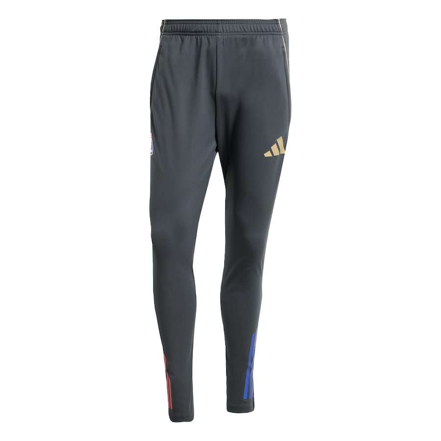 Узкие спортивные брюки ADIDAS PERFORMANCE Olympique Lyon Tiro 25 Competition, серый
Узкие спортивные брюки ADIDAS PERFORMANCE Olympique Lyon Tiro 25 Competition, серый