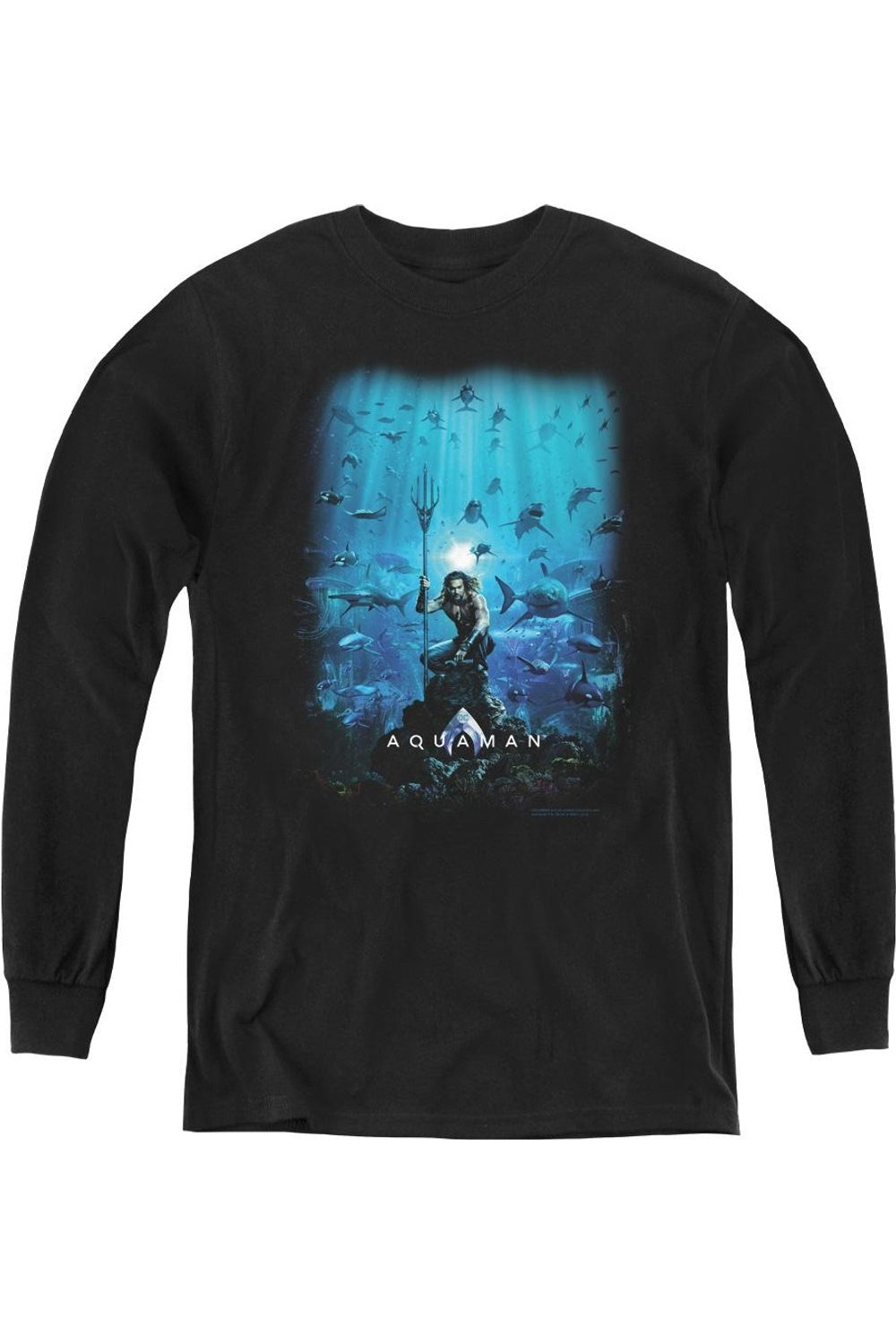 Футболка с длинным рукавом для детей с постером фильма "Аквамен" Gildan, черный
Футболка с длинным рукавом для детей с постером фильма "Аквамен" Gildan, черный