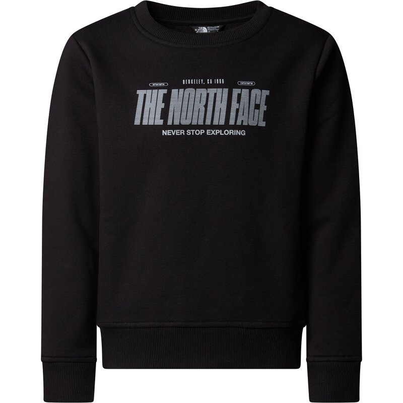 Толстовка со светоотражающим логотипом, свободный крой The North Face, черный
Толстовка со светоотражающим логотипом, свободный крой The North Face, черный