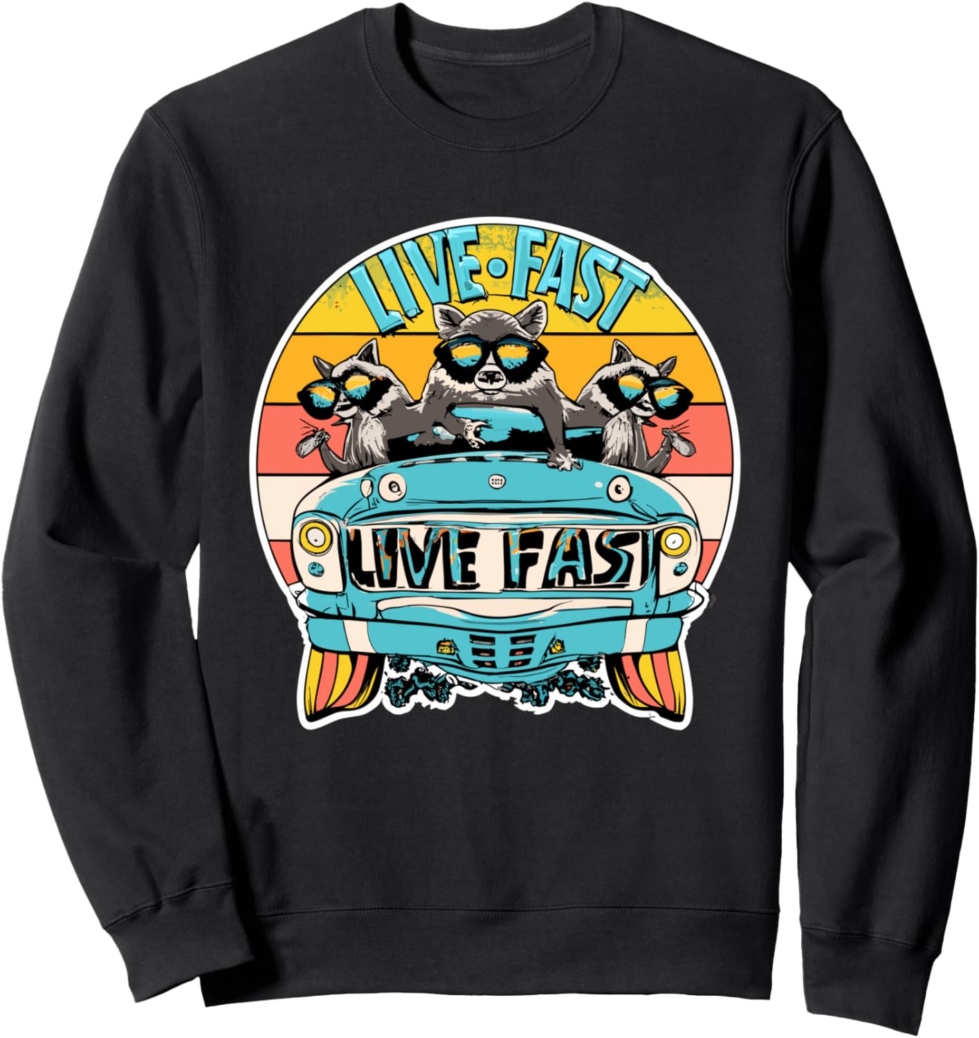 Живи быстро, ешь мусор, опоссум, ретро-закат, енот, толстовка Live Fast Eat Trash And Get Hit By A Car, черный
Живи быстро, ешь мусор, опоссум, ретро-закат, енот, толстовка Live Fast Eat Trash And Get Hit By A Car, черный