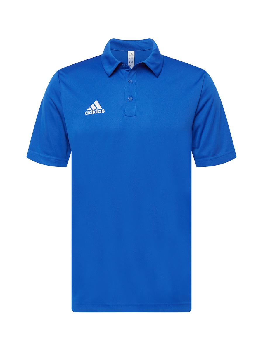 Футболка Performance ADIDAS PERFORMANCE Entrada 22, Royal Blue, Синий, Футболка Performance ADIDAS PERFORMANCE Entrada 22, Royal Blue
Футболка Performance ADIDAS PERFORMANCE Entrada 22, Royal Blue, Синий, Футболка Performance ADIDAS PERFORMANCE Entrada 22, Royal Blue