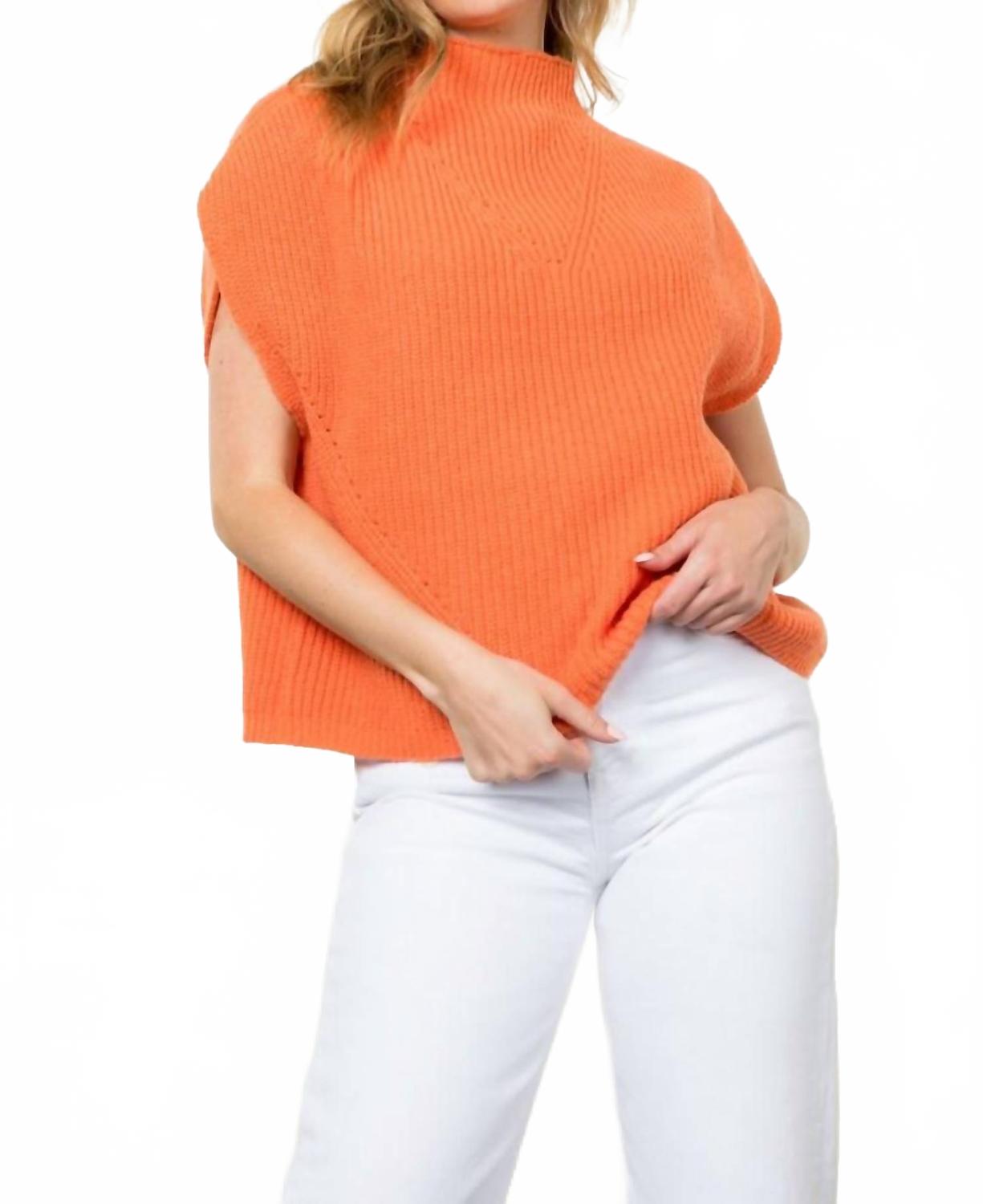 Менди жилет с воротником-водолазкой, рубчик, оранжевый THML
Менди жилет с воротником-водолазкой, рубчик, оранжевый THML