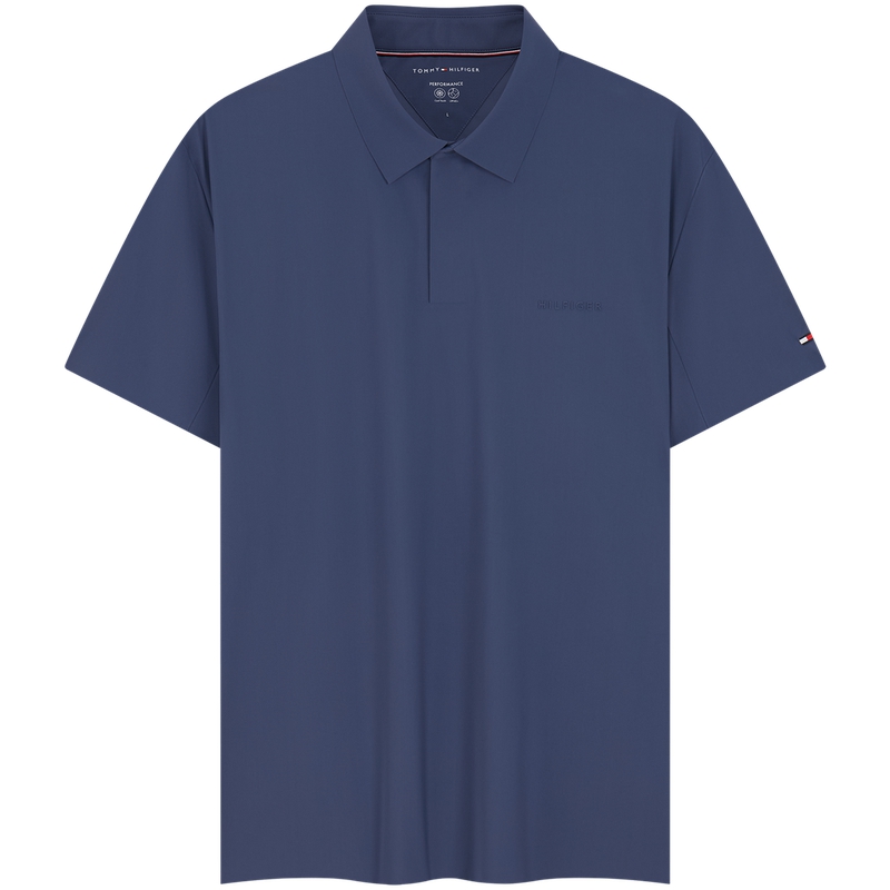 Мужская поло Tommy Hilfiger, синий
Мужская поло Tommy Hilfiger, синий