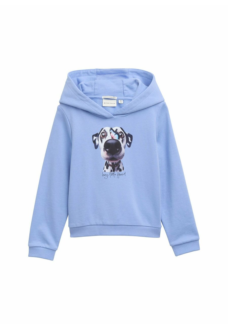 Худи TOM TAILOR Hoodie, Dreamy Blue/Blue
Худи TOM TAILOR Hoodie, Dreamy Blue/Blue