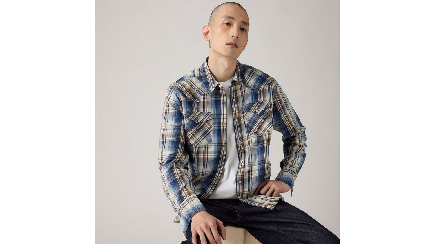 Рубашка в стиле вестерн Барстоу Levi's, Raul Plaid Niagara Mist - Multi-Color
Рубашка в стиле вестерн Барстоу Levi's, Raul Plaid Niagara Mist - Multi-Color