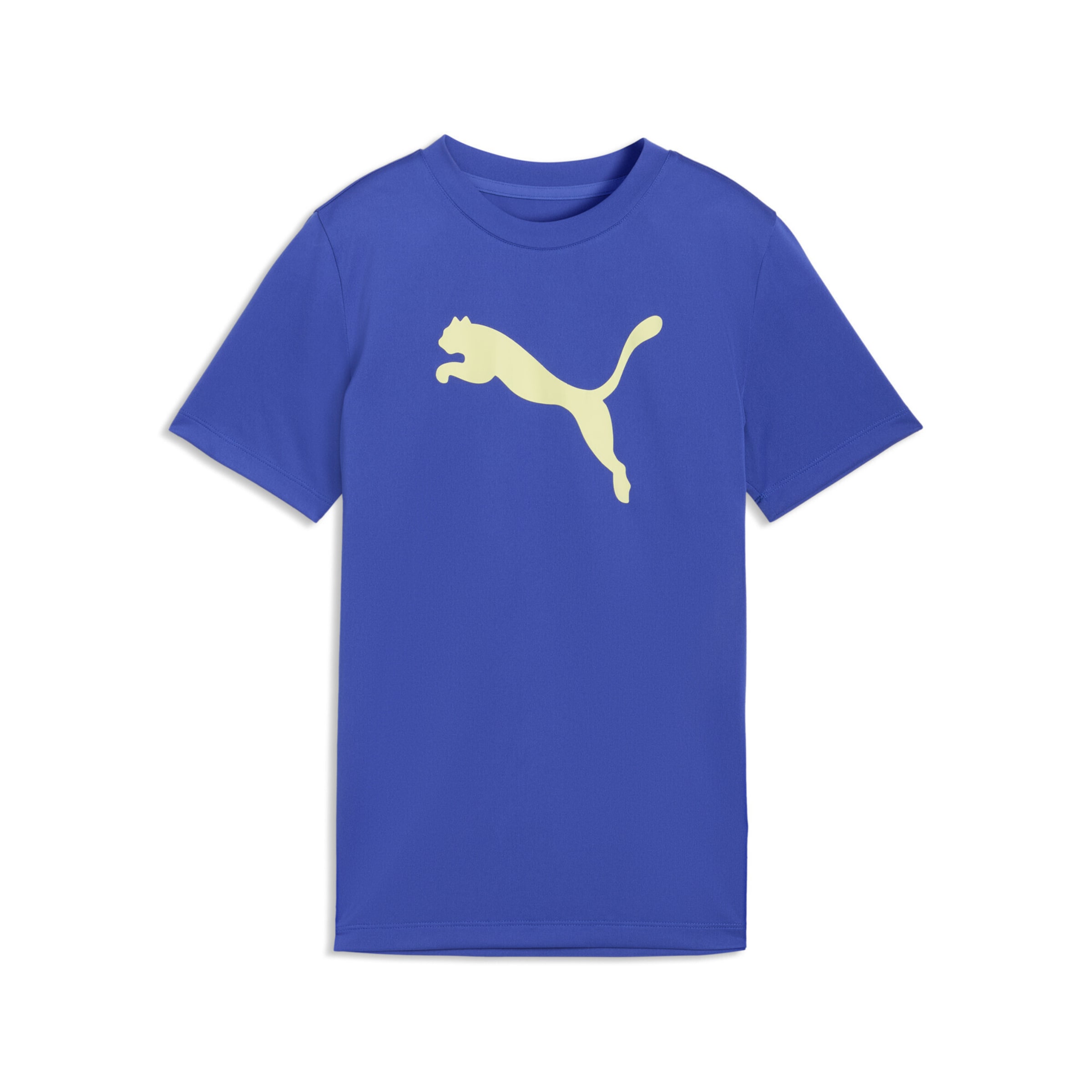 PUMA Футболка для тренировок 'Train All Day Essentials' в цвете Royal Blue
PUMA Футболка для тренировок 'Train All Day Essentials' в цвете Royal Blue
