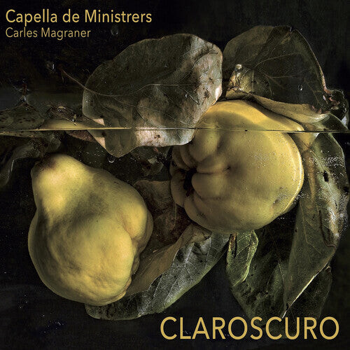 CD диск Claroscuro / Various: Claroscuro
CD диск Claroscuro / Various: Claroscuro