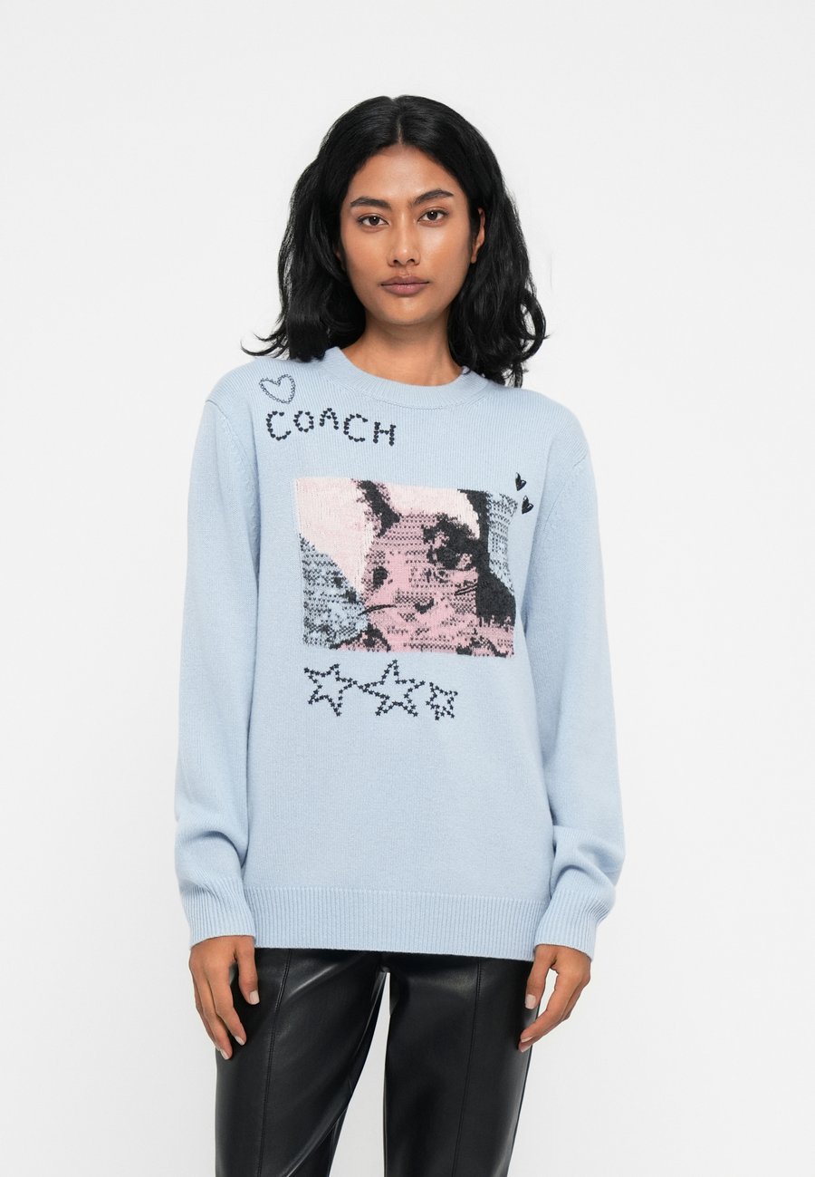 Джемпер COACH BUNNY GRAPHIC INTARSIA CREW NECK SWEATER, Blue
Джемпер COACH BUNNY GRAPHIC INTARSIA CREW NECK SWEATER, Blue