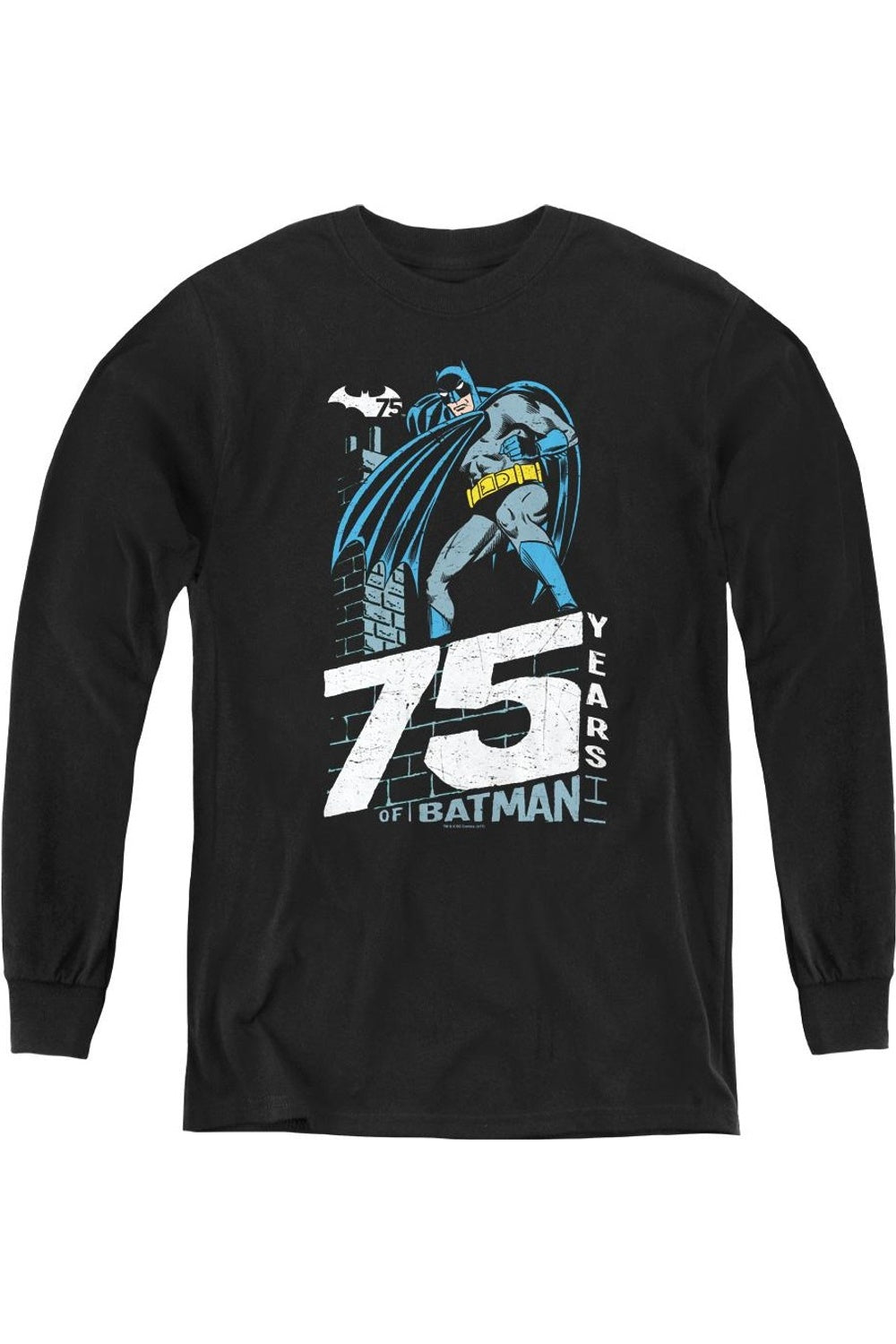 Футболка с длинным рукавом Batman Rooftop для детей Gildan, черный
Футболка с длинным рукавом Batman Rooftop для детей Gildan, черный