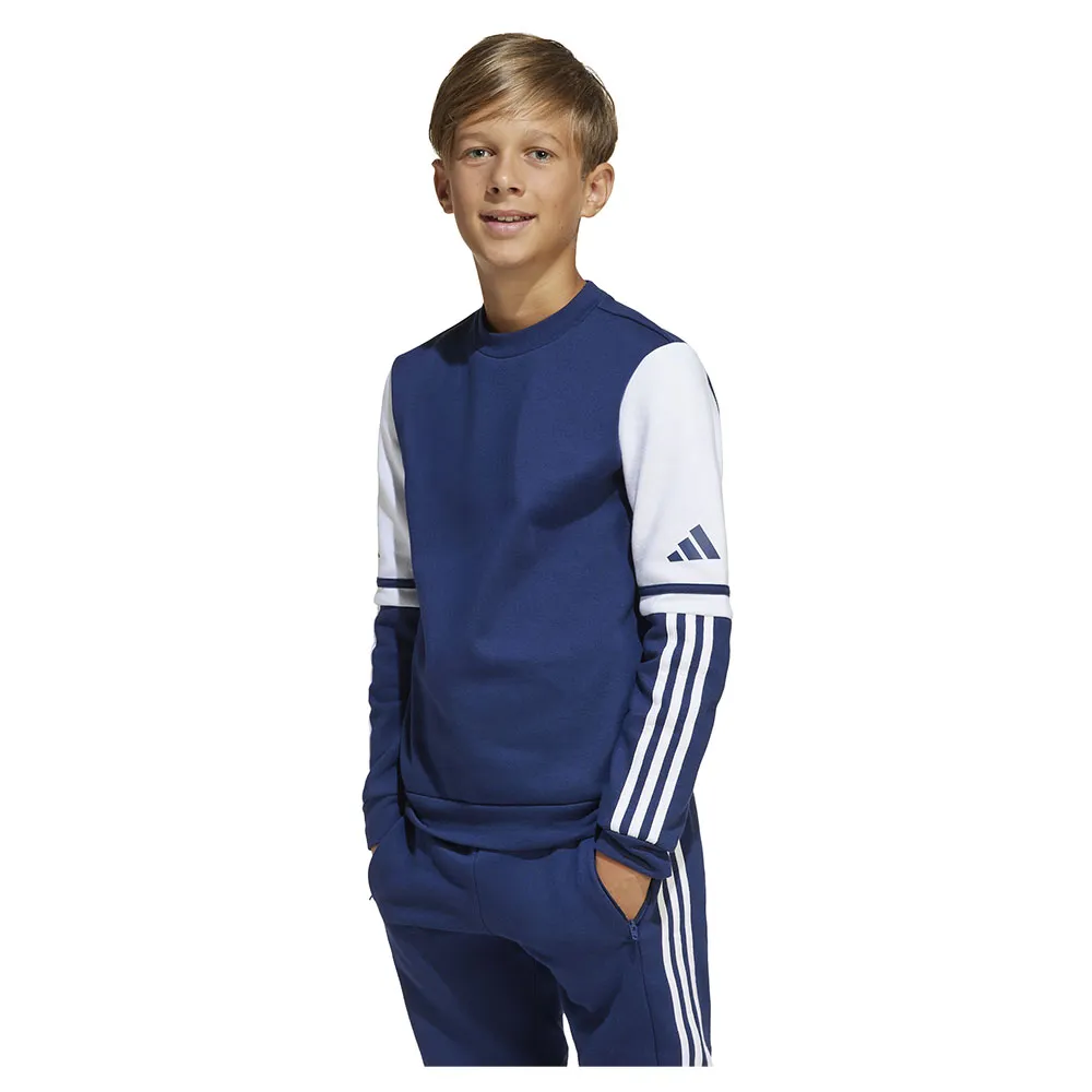 Толстовка adidas Squadra 25 Crewneck, синий
Толстовка adidas Squadra 25 Crewneck, синий