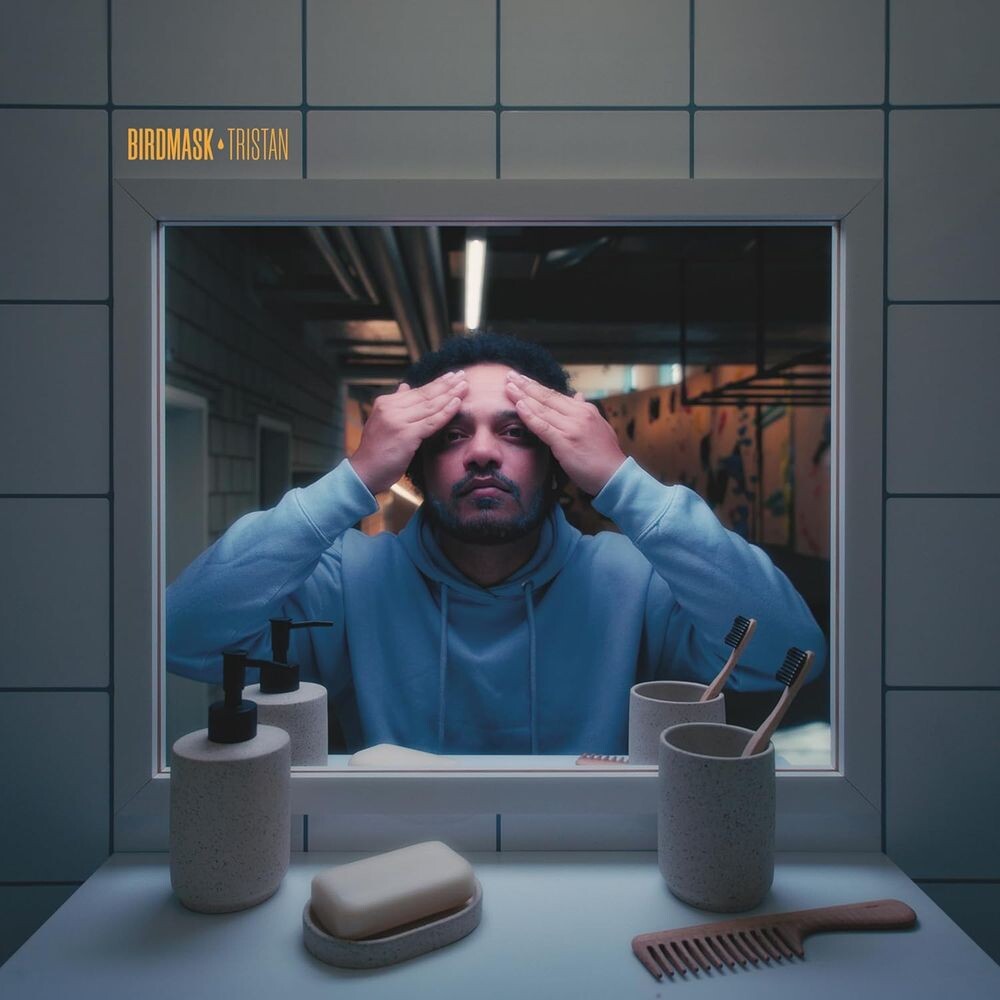 Виниловая пластинка LP Tristan - Birdmask
Виниловая пластинка LP Tristan - Birdmask