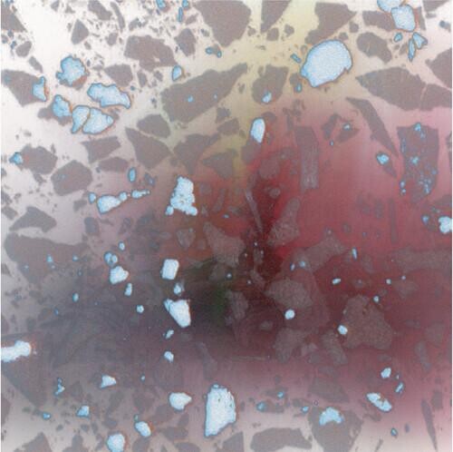 Виниловая пластинка Avulsions - Expanding Program