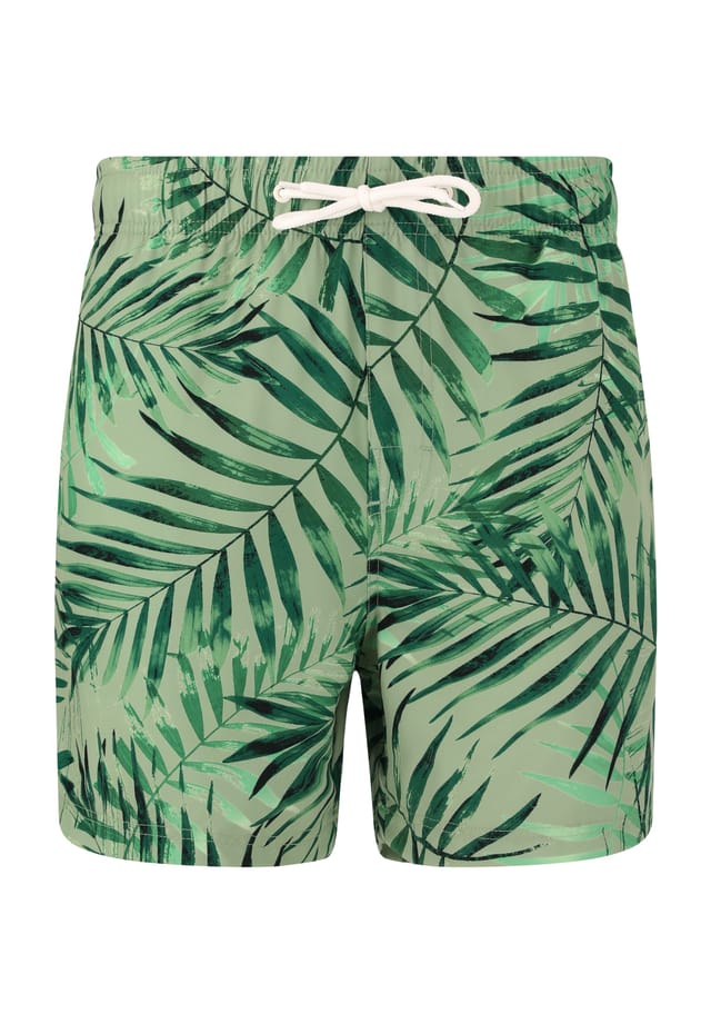 Плавки-Шорты Toby с повседневным принтом Cruz, зеленый
Плавки-Шорты Toby с повседневным принтом Cruz, зеленый