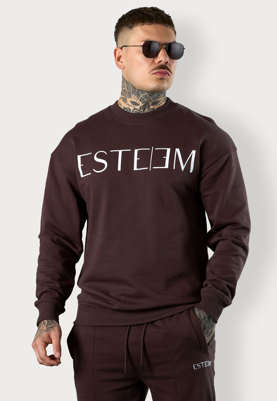 Толстовка ESTEEM LETTERING 3.0, Espresso/Dark Brown
Толстовка ESTEEM LETTERING 3.0, Espresso/Dark Brown