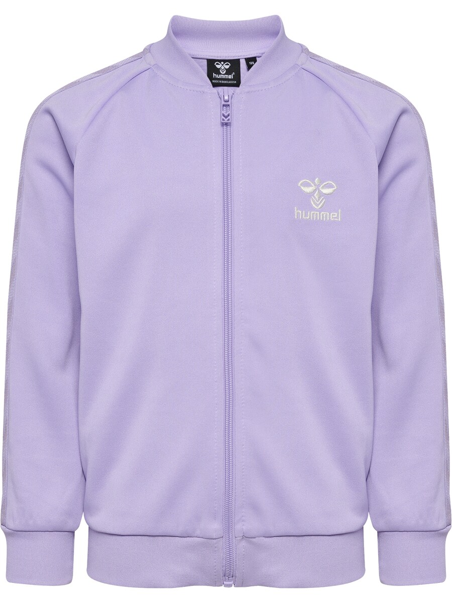 Спортивная толстовка с капюшоном на молнии Hummel Noma, лавандовый
Спортивная толстовка с капюшоном на молнии Hummel Noma, лавандовый
