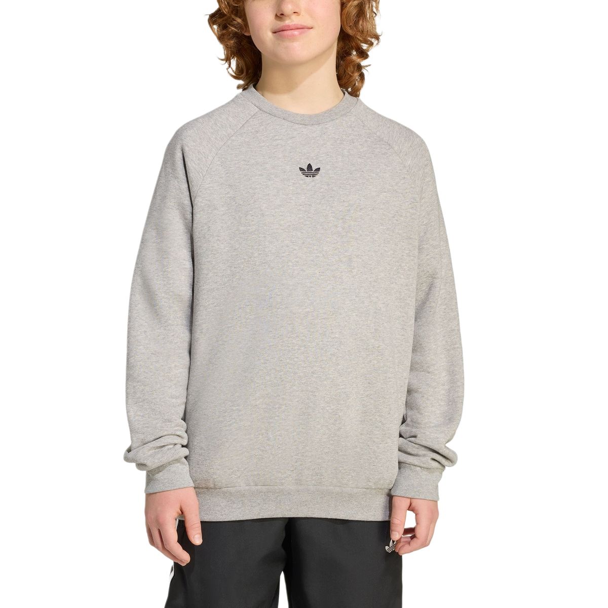 Детский свитшот Adidas Originals, серый
Детский свитшот Adidas Originals, серый