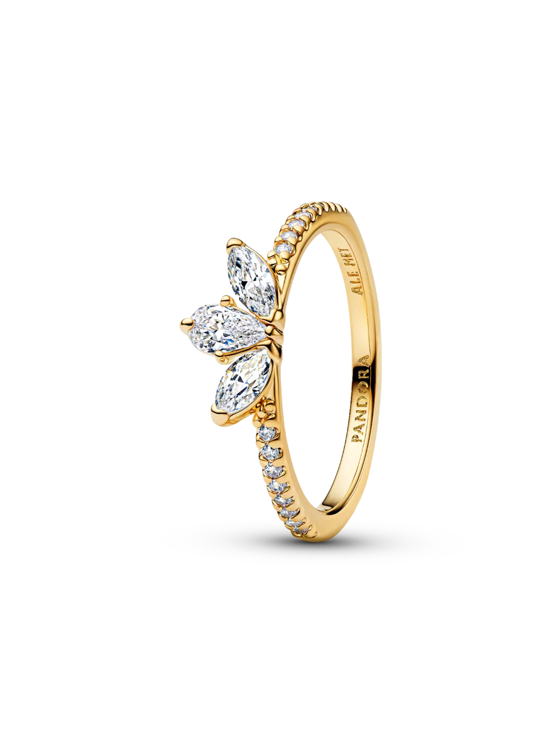 Кольцо-гербарий Сверкающее Pandora, 14-каратное золотое покрытие
Кольцо-гербарий Сверкающее Pandora, 14-каратное золотое покрытие