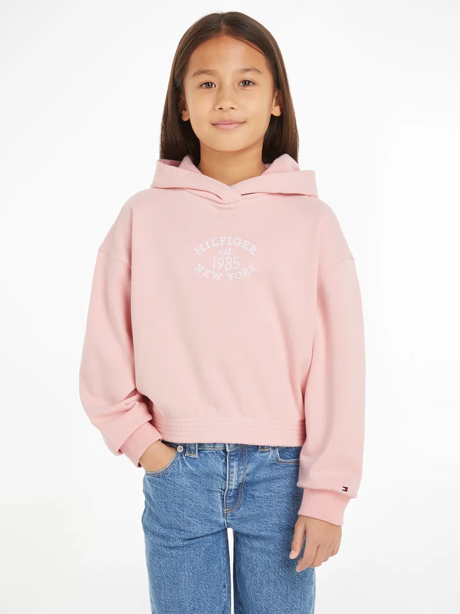 Толстовка Tommy Hilfiger с капюшоном "MONOTYPE FLOCK HOODIE", дети до 16 лет, с надписью-логотипом, цвет Soft Rose
Толстовка Tommy Hilfiger с капюшоном "MONOTYPE FLOCK HOODIE", дети до 16 лет, с надписью-логотипом, цвет Soft Rose
