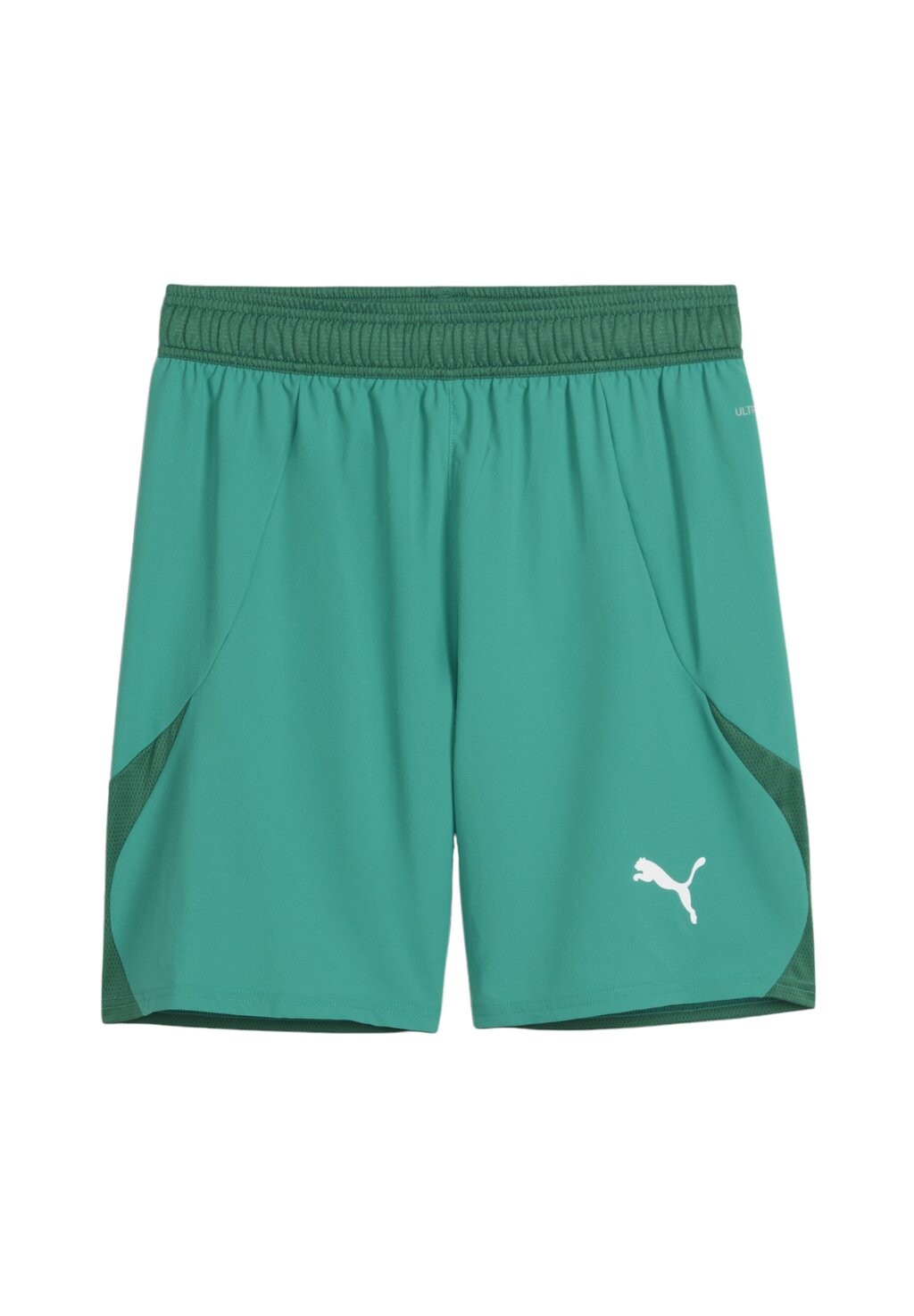 Спортивные шорты TEAMFINAL Puma, цвет green
Спортивные шорты TEAMFINAL Puma, цвет green