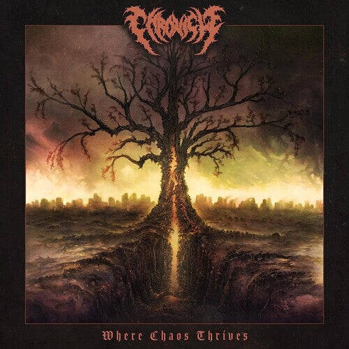 CD диск Chronicle: Where Chaos Thrives
CD диск Chronicle: Where Chaos Thrives