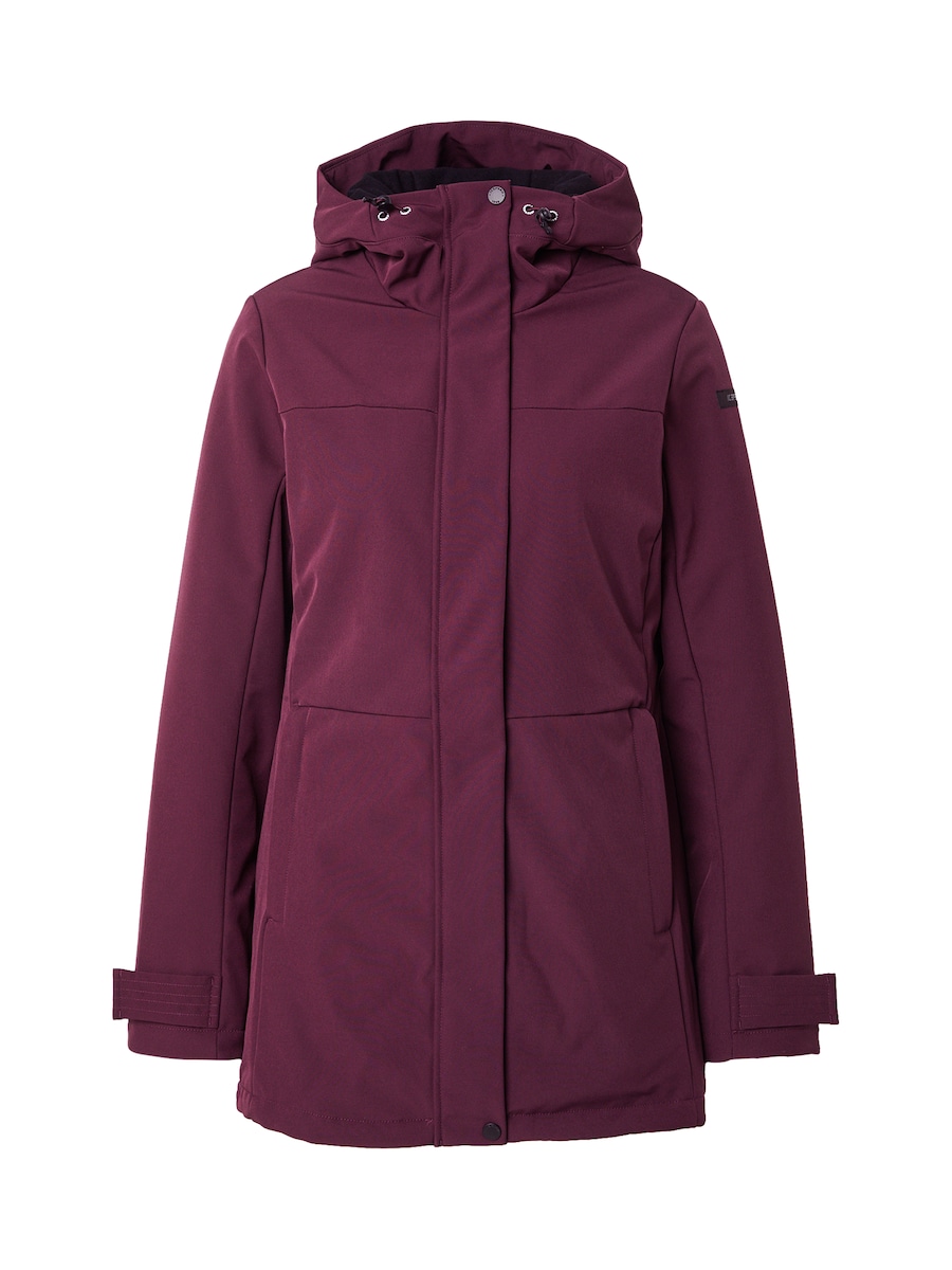 Куртка для активного отдыха ICEPEAK Aplington, цикламеновый
Куртка для активного отдыха ICEPEAK Aplington, цикламеновый