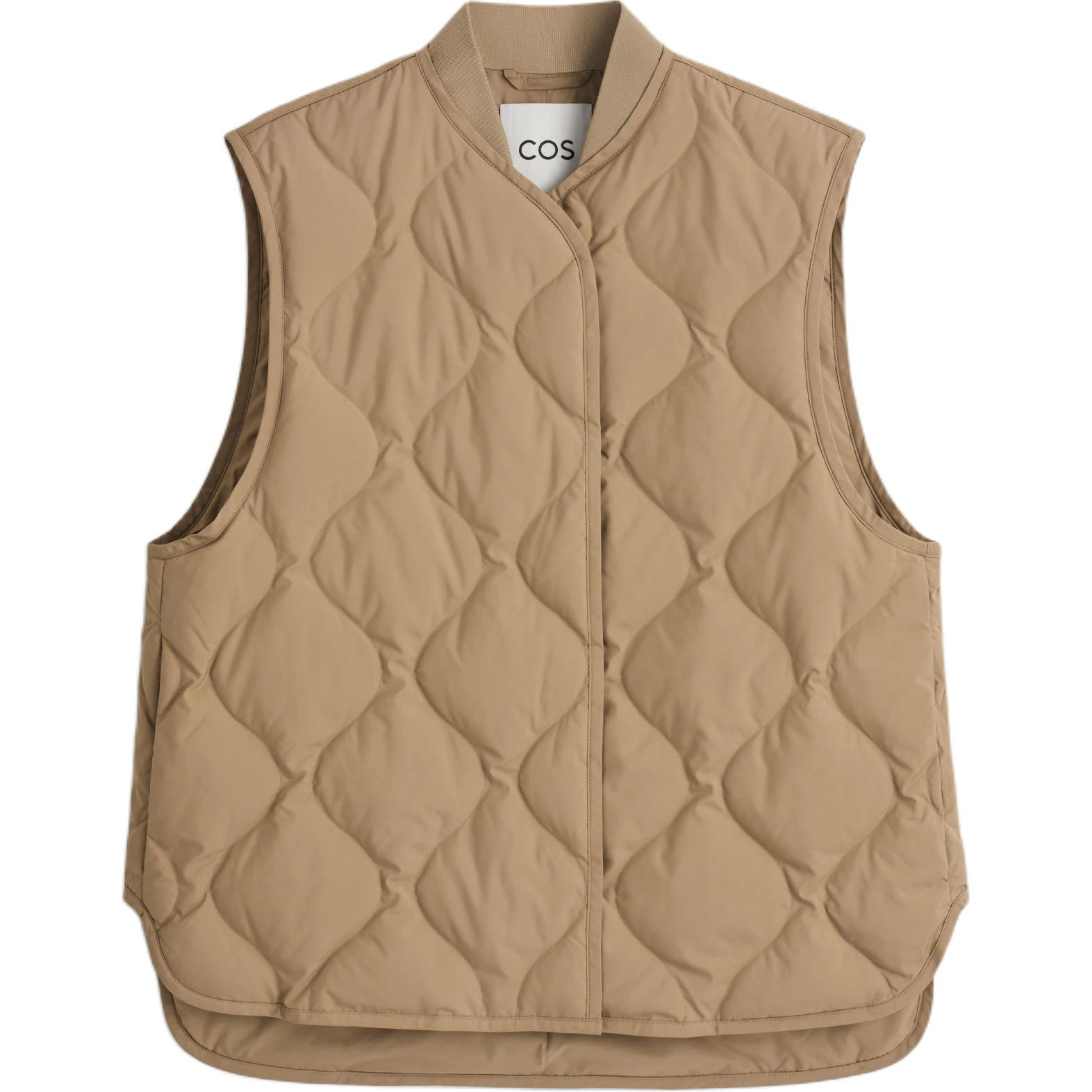 Женские жилеты Dark Beige COS, темно-бежевый
Женские жилеты Dark Beige COS, темно-бежевый