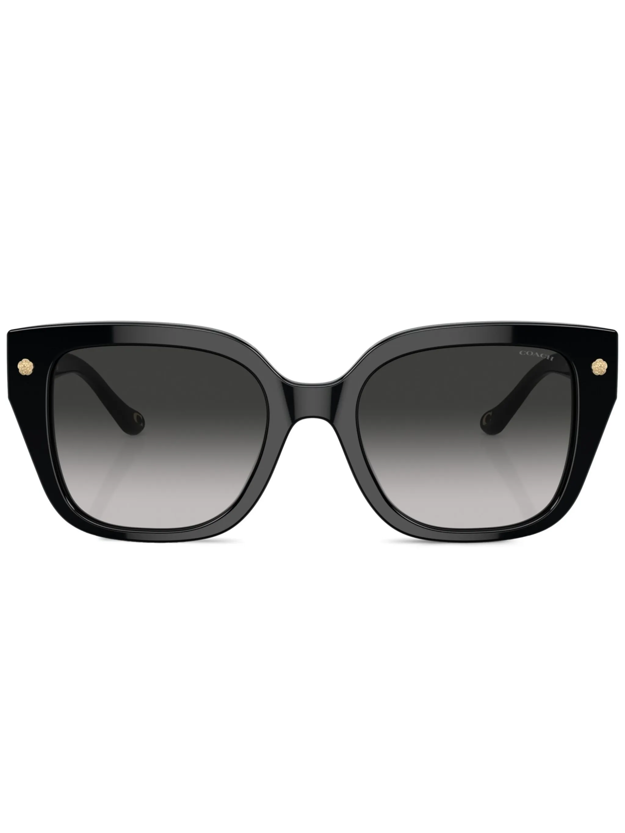Солнцезащитные очки Charms в массивной оправе Coach, черный
Солнцезащитные очки Charms в массивной оправе Coach, черный
