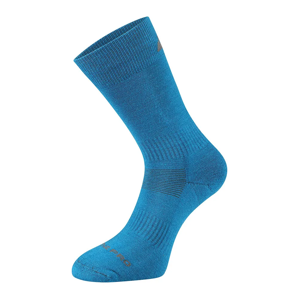 Носки Alpine Pro Erate, синий
Носки Alpine Pro Erate, синий