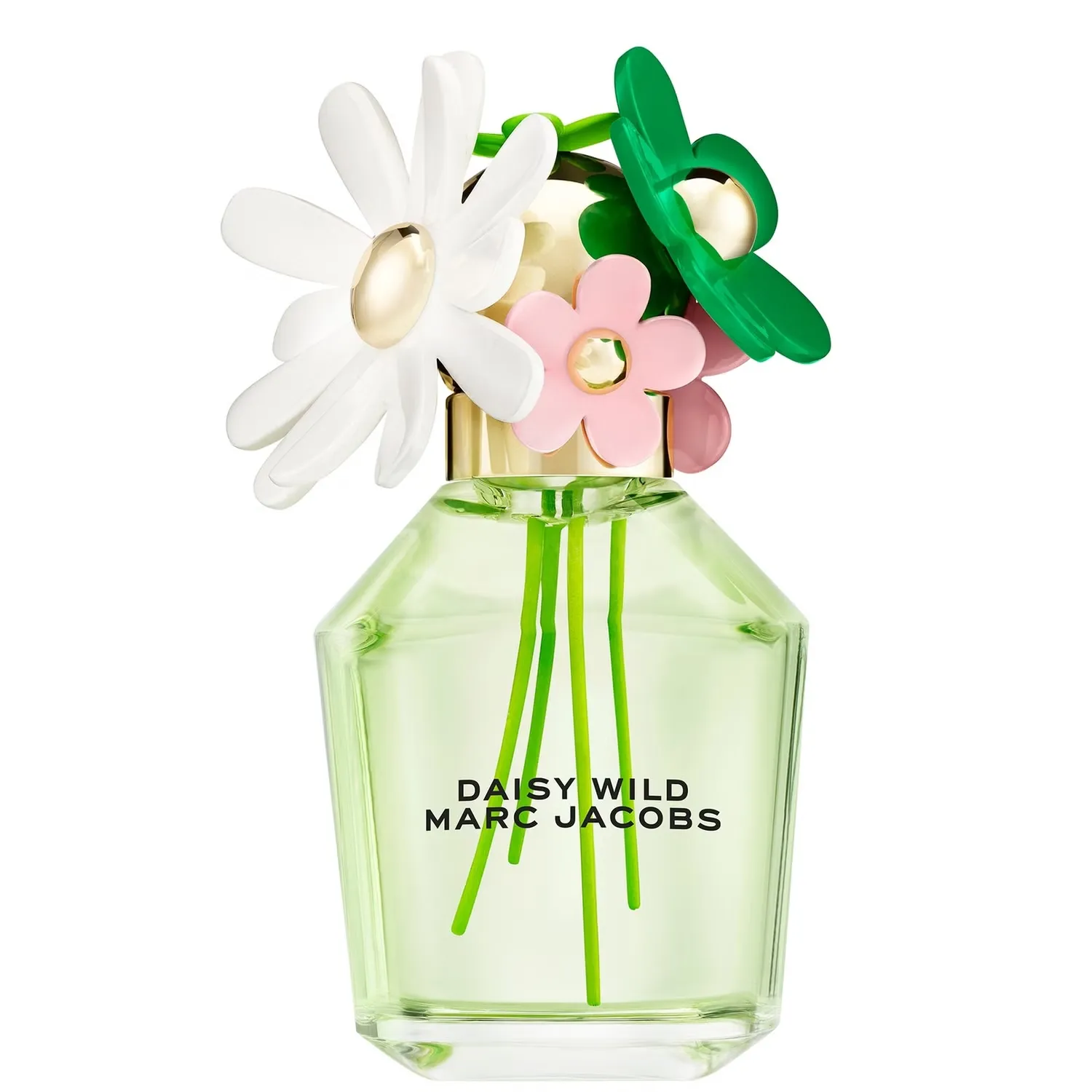 Daisy Wild Парфюмированная вода 100 мл Marc Jacobs
Daisy Wild Парфюмированная вода 100 мл Marc Jacobs