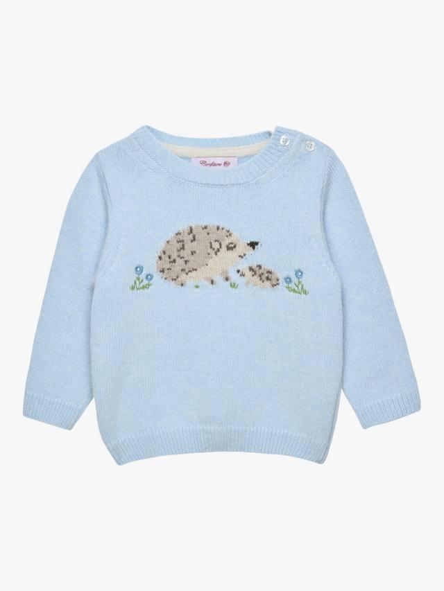 Детский свитер Hollie Hedgehog из шерстяной смеси Trotters, Pale Blue
Детский свитер Hollie Hedgehog из шерстяной смеси Trotters, Pale Blue