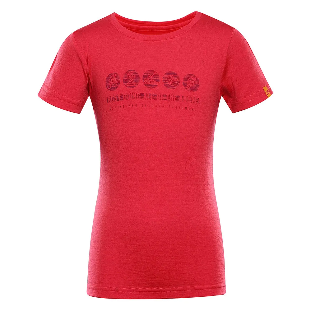 Футболка Alpine Pro Mereno 2, красный
Футболка Alpine Pro Mereno 2, красный