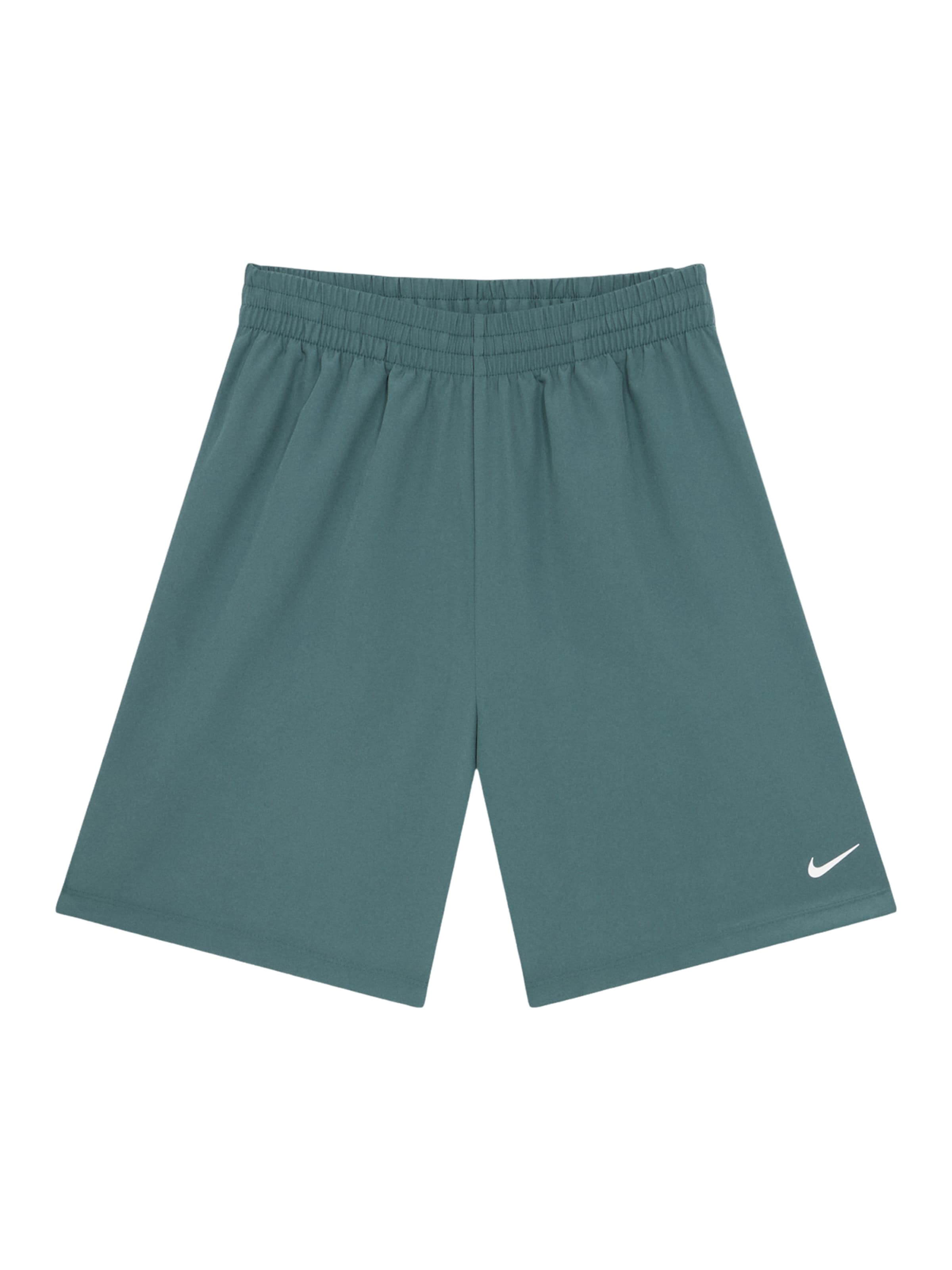 NIKE Спортивные шорты Regular в цвете Opal
NIKE Спортивные шорты Regular в цвете Opal