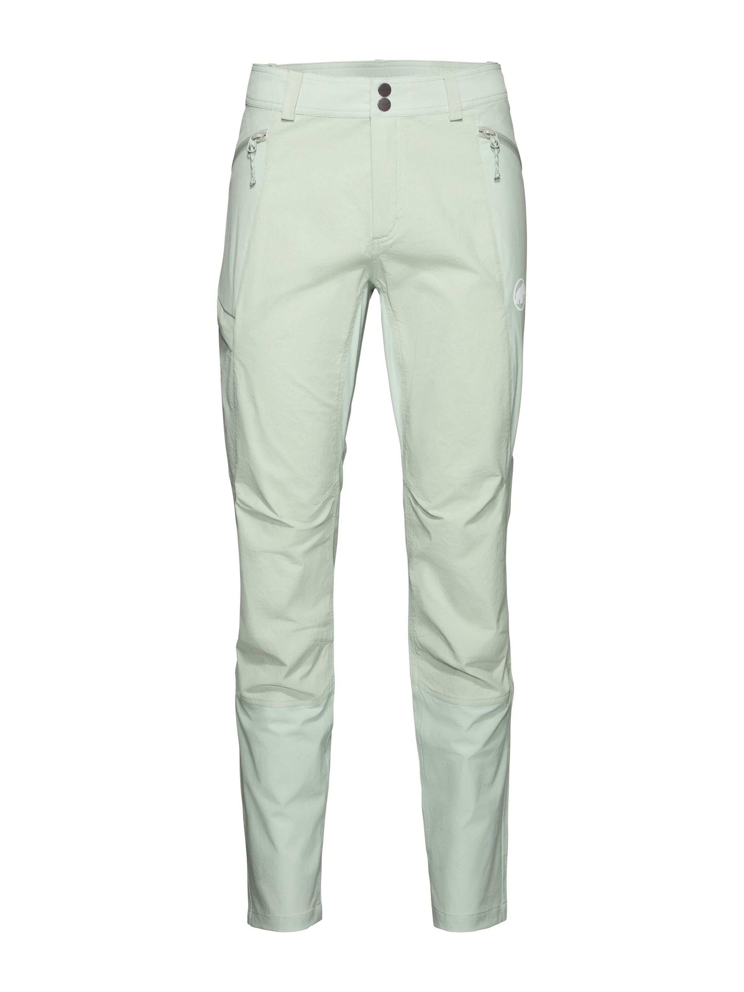 MAMMUT Уличные штаны Regular 'Ducan' в пастельно-зеленом цвете
MAMMUT Уличные штаны Regular 'Ducan' в пастельно-зеленом цвете