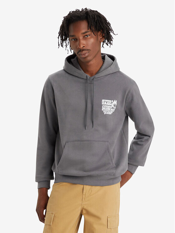 Толстовка стандартного кроя Levi's, серый
Толстовка стандартного кроя Levi's, серый