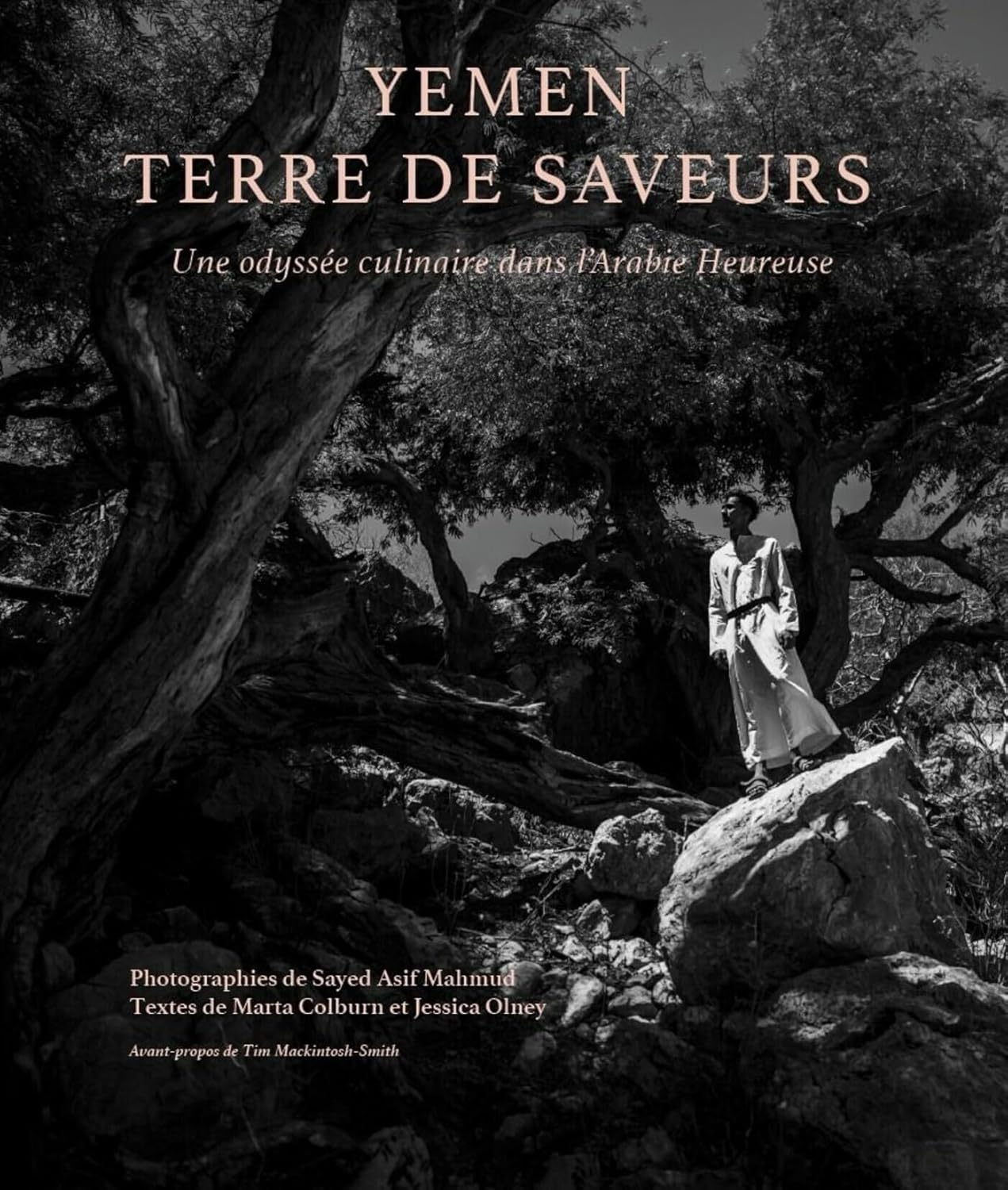 Yémen, terre de saveurs: Une odyssée culinaire dans l'Arabie heureuse (CAURETTE)
Yémen, terre de saveurs: Une odyssée culinaire dans l'Arabie heureuse (CAURETTE)