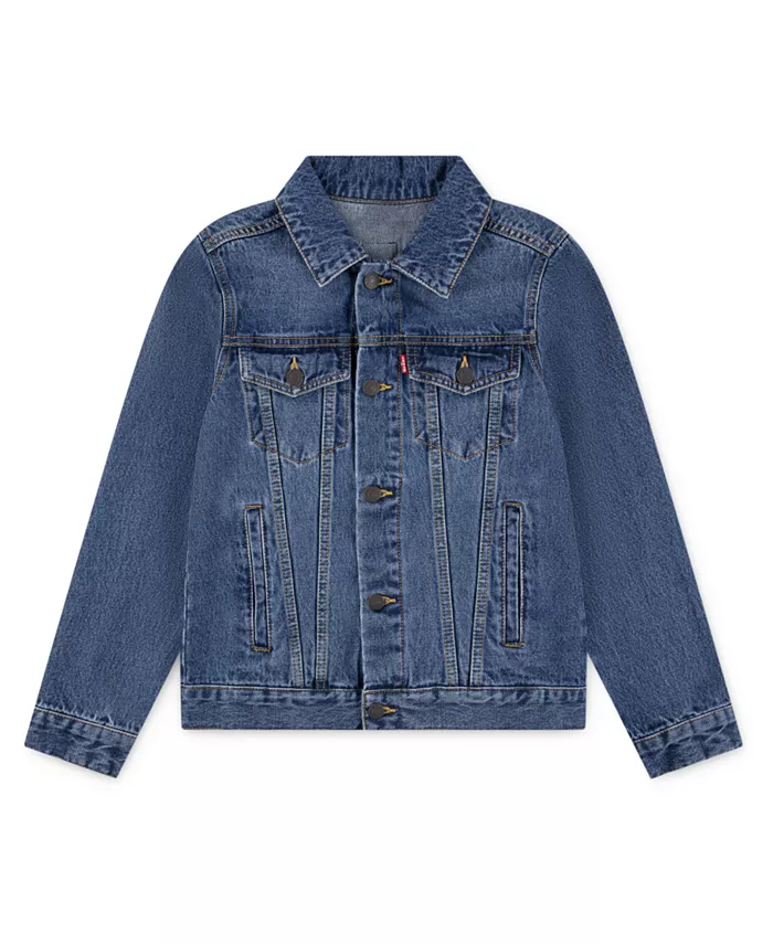 Куртка дальнобойщика Big Boys Americana Levi's
Куртка дальнобойщика Big Boys Americana Levi's