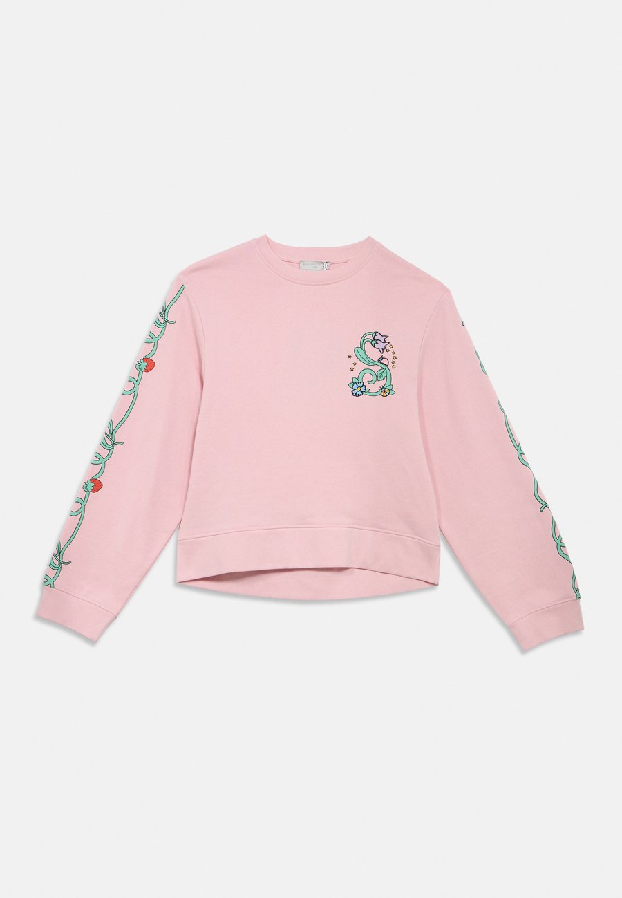 Толстовка Stella McCartney Kids Sweatshirt, Rosa/Pink
Толстовка Stella McCartney Kids Sweatshirt, Rosa/Pink