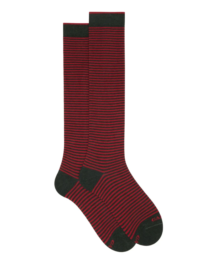 Мужские длинные хлопковые зеленые полосатые носки Windsor Gallo, мультиколор
Мужские длинные хлопковые зеленые полосатые носки Windsor Gallo, мультиколор