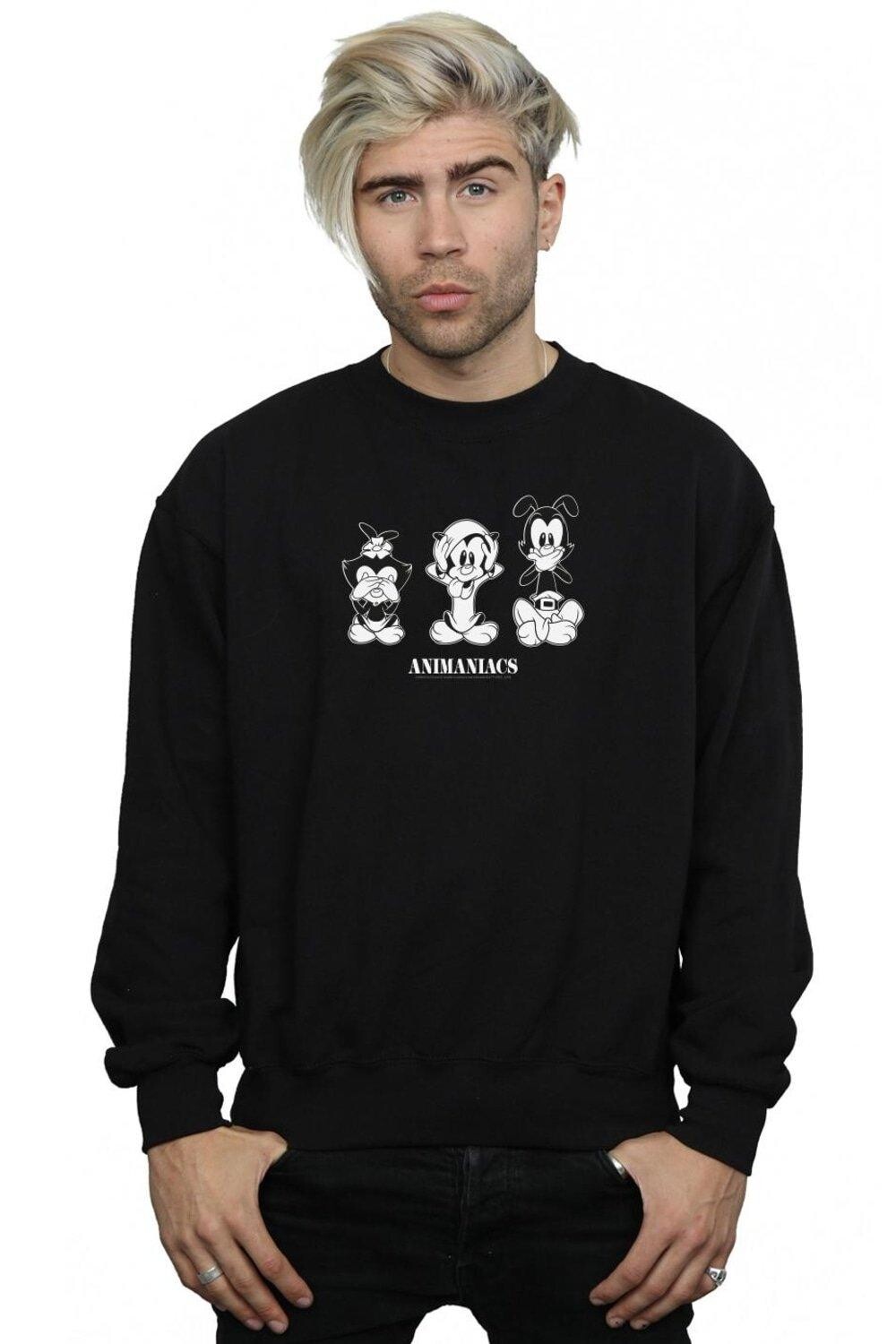 Толстовка «Три зла» Animaniacs, черный
Толстовка «Три зла» Animaniacs, черный